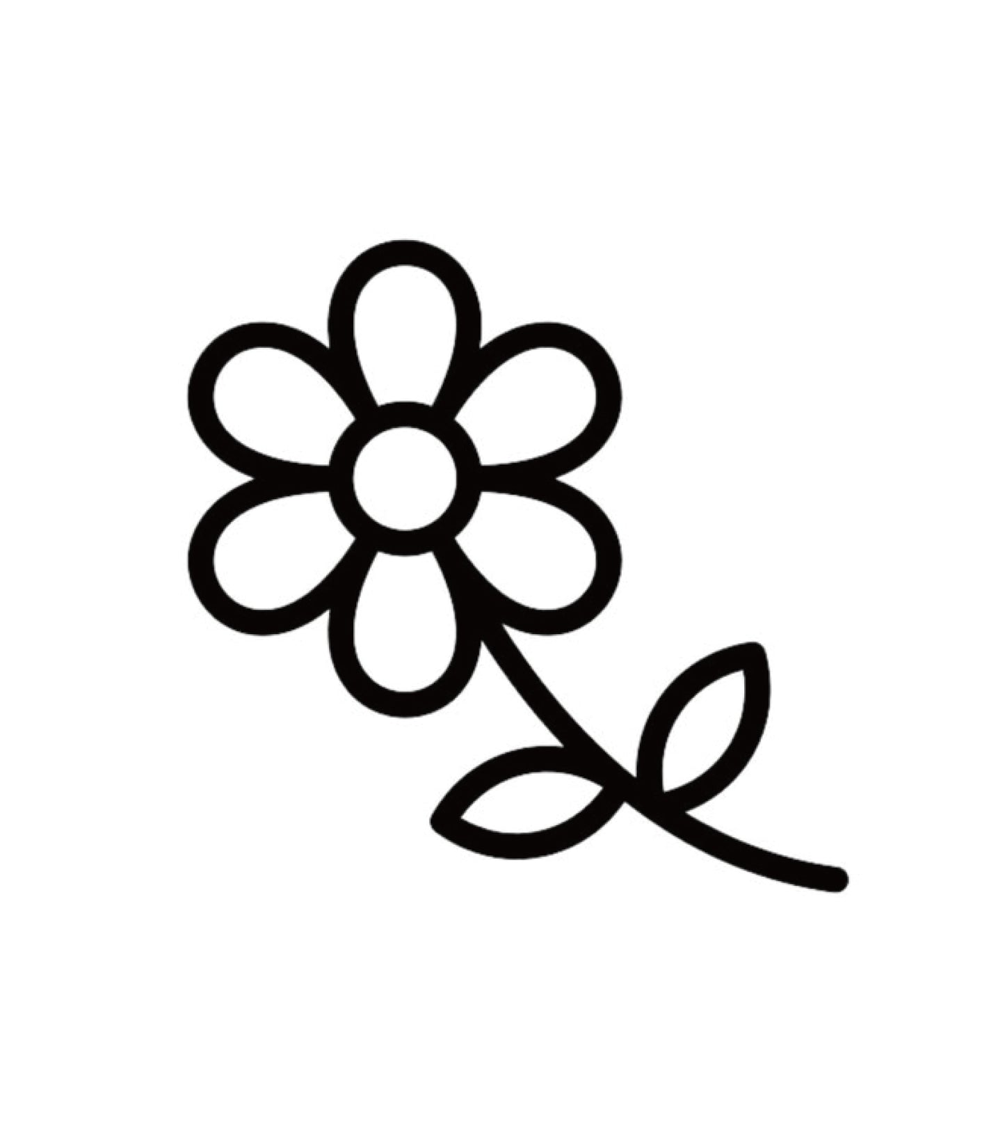 Flower - Street Daisy