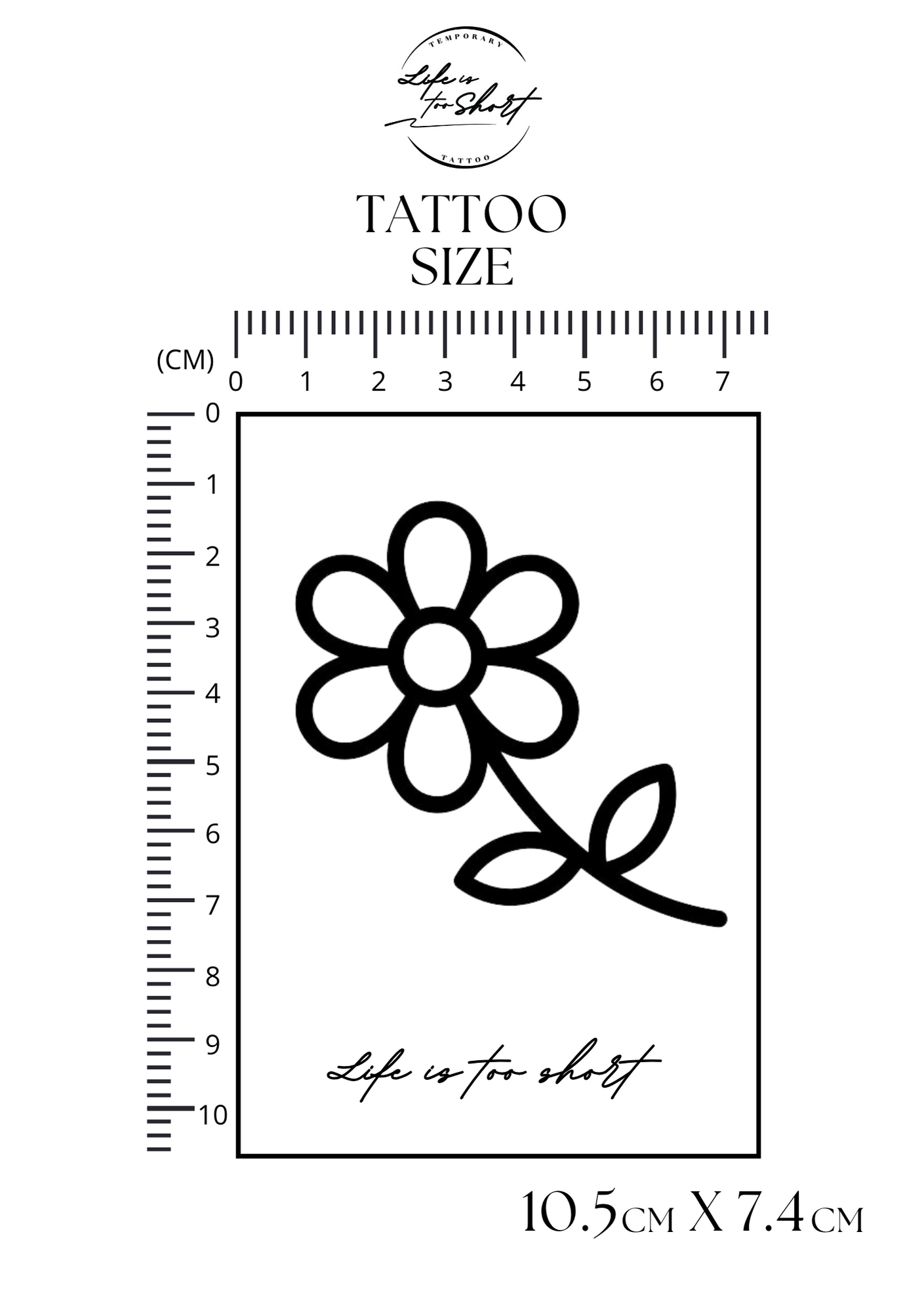 Flower - Street Daisy